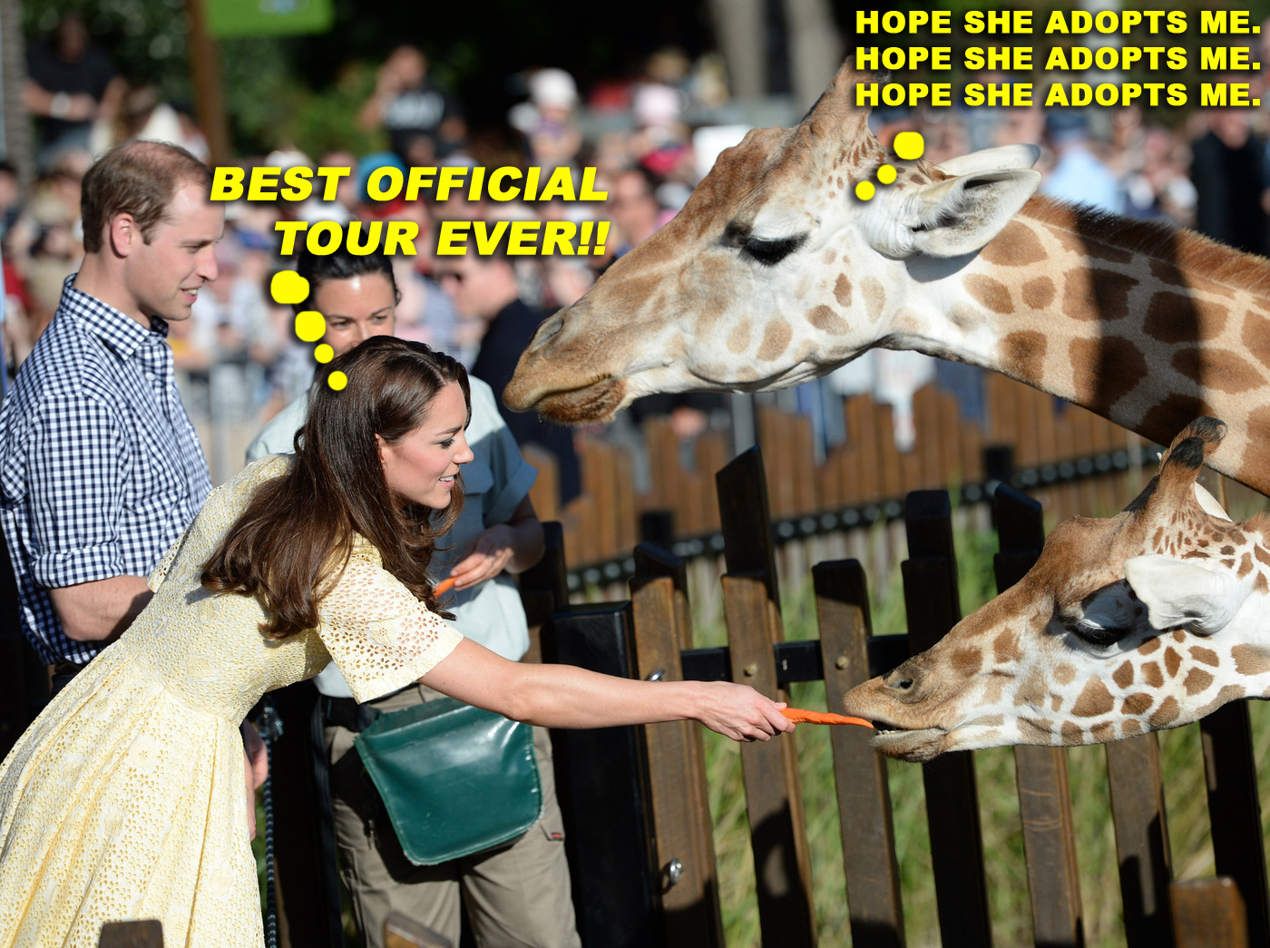 Prince William, Duke of Cambridge, Catherine, Duchess of Cambridge and Prince George in the Bilby Enclosure at Taronga Zoo in Sydney