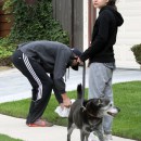 Ashton Kutcher& Mila Kunis Walk The Dog